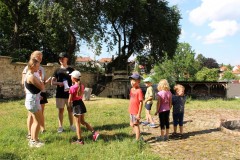 IMG_8902