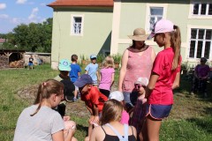 IMG_8907