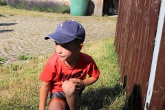 IMG_8982-2