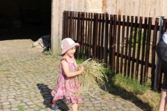 IMG_8985