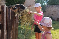 IMG_8986